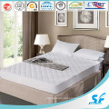 Bed Bug Allergy Relief Waterproof Mattress Protector